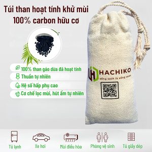 Túi than hoạt tính khử mùi ô tô