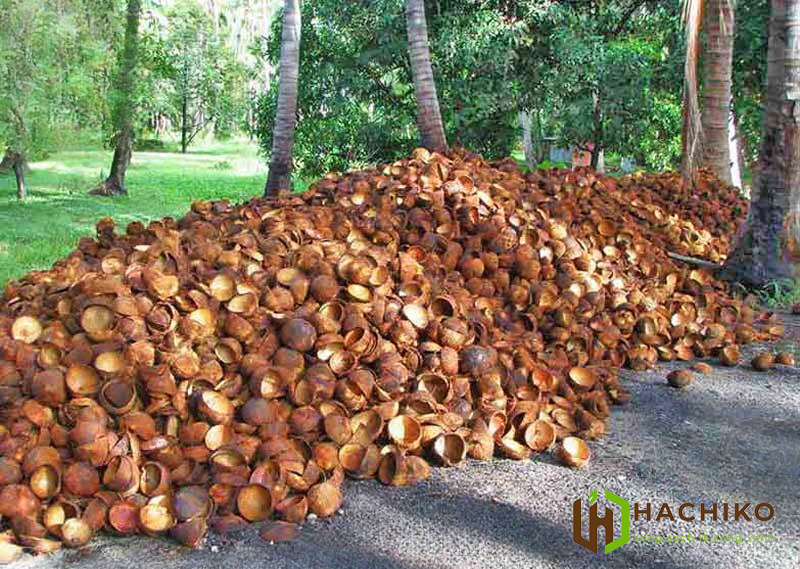 Gáo dừa là nguyên liệu lý tưởng để sản xuất than hoạt tính