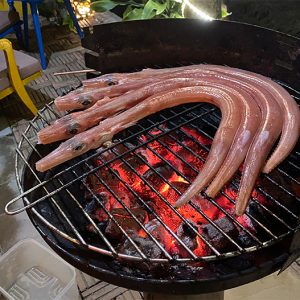 Than sạch không khói đang chứng minh giá trị bền vững trong nhiều lĩnh vực đời sống, nông nghiệp và công nghiệp.