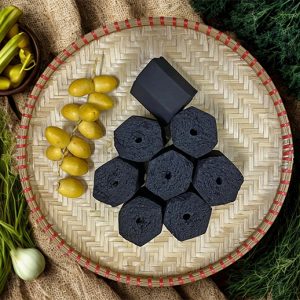 Than nướng sinh học từ gáo dừa